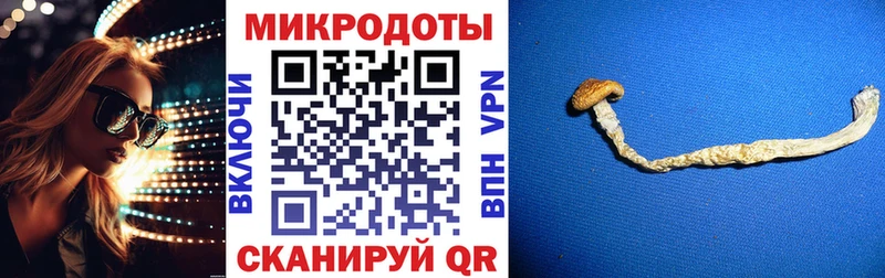 Псилоцибиновые грибы Psilocybe  наркошоп  Котовск 